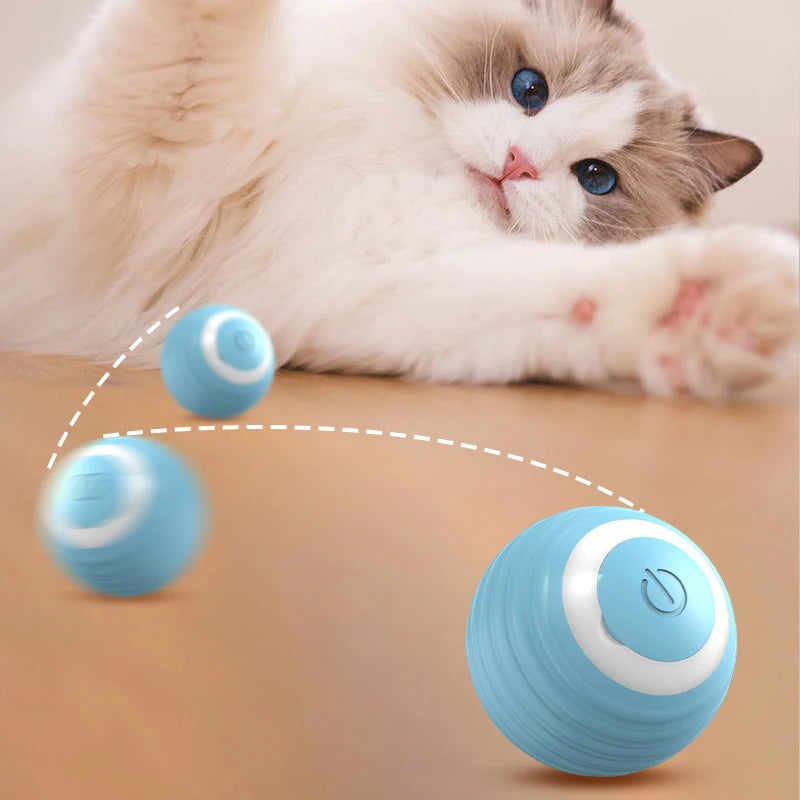 Smart cat ball