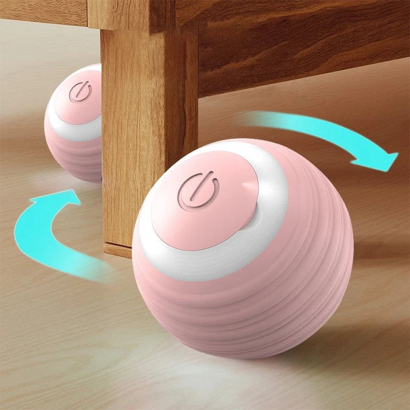 Smart cat ball