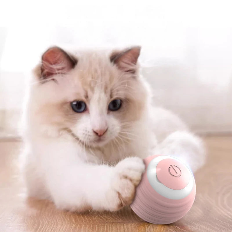 Smart cat ball
