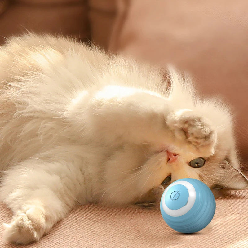 Smart cat ball
