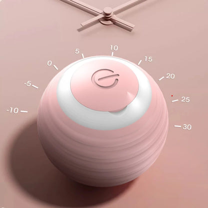 Smart cat ball