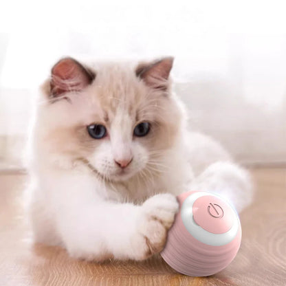 Smart cat ball